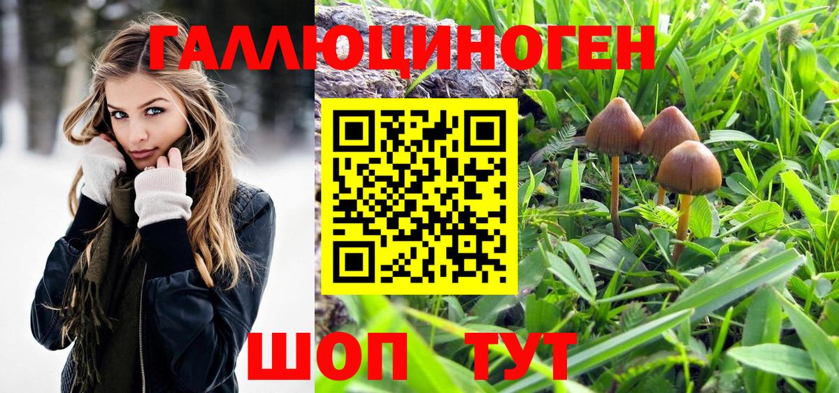 Галлюциногенные грибы GOLDEN TEACHER Татарск