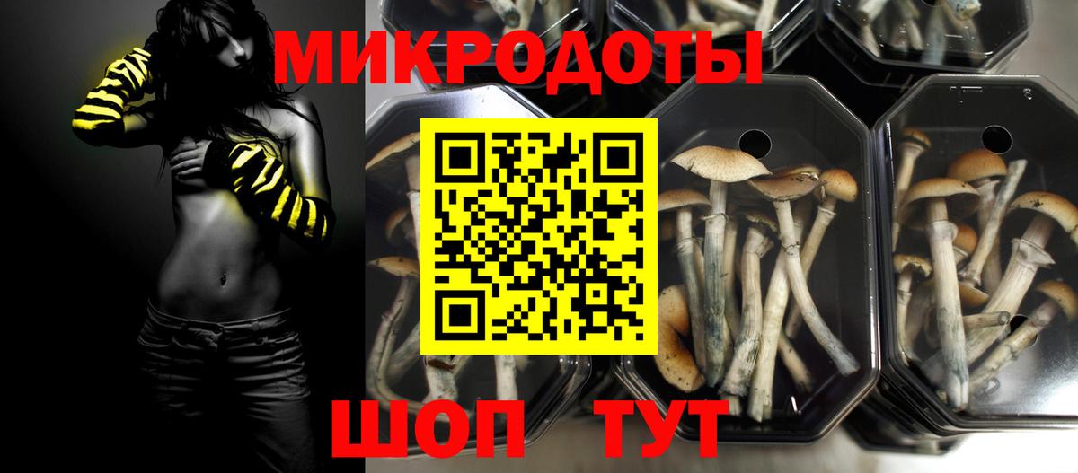 Псилоцибиновые грибы Magic Shrooms  Вход с VPN  Псилоцибиновые грибы GOLDEN TEACHER  Татарск 